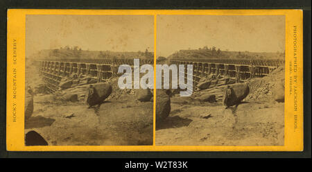 Dale Creek Bridge, da Jackson, William Henry, 1843-1942 Foto Stock