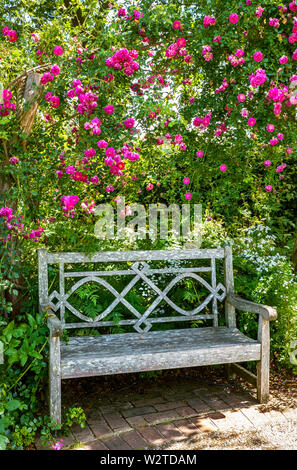 Giardino delle Rose con oasi di tranquillità. Tradizionale in legno panchina da giardino visualizzazione fuori ai giardini con vibrante rose in piena fioritura di primavera formando un attraente naturale colorata arbour sopra. Foto Stock
