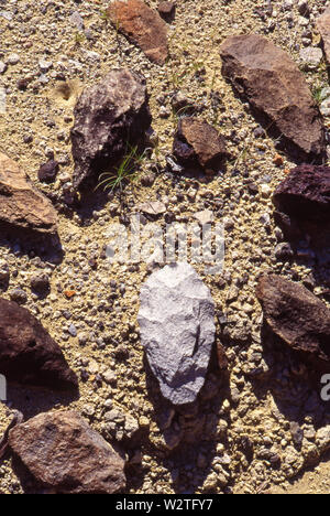 Esseri umani in anticipo, homo erectus, vissuto nella regione Olorgesailie, nel sud del Kenya, tra 1,2 milioni e 490.000 anni fa. Scavi a Olorgesailie mostrano gli habitat e gli animali questi primi esseri umani incontrati, strumenti di handax hanno fatto, e le sfide del cambiamento climatico hanno incontrato. Mano ax grossolanamente scheggiato lungo i bordi. Usato per la raschiatura e taglio. Foto Stock