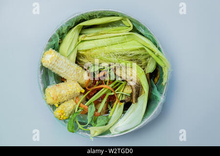 Alimenti biologici rifiuti in un secchio, ripresa dall'alto. Rifiuti Zero, riciclare rifiuti Nozione di smistamento - vista superiore delle bucce e avanzi di frutta e verdura Foto Stock