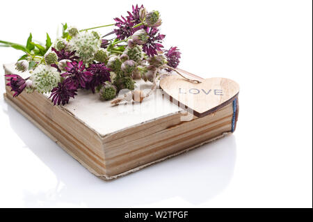 Bouquet di fiori selvatici sul vecchio libro su uno sfondo bianco. Isolato composizione vintage Foto Stock