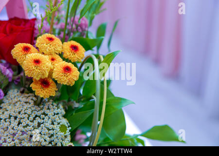 Giallo Fiore Dahlia con sfondo blu . Fibonacci sequenza matematica o rapporto aureo trovato in natura. Decorazione con bouquet di fiori dahlia Foto Stock