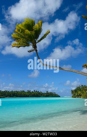 Idillica vista verticale del turchese coral lagoon di Aitutaki con sabbia bianca e una piega Palm tree, Isole Cook, Polinesia Foto Stock