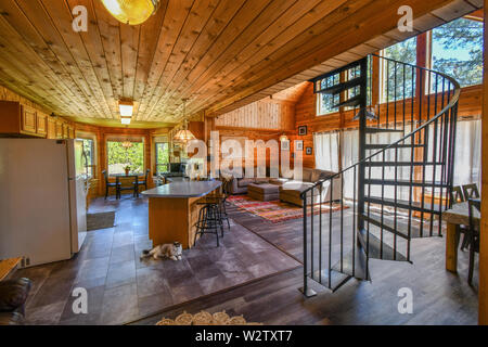 Un showshoe gatto siamese gatto si rilassa nella cucina di un raffinato rustico chalet di montagna con scala a chiocciola in Spokane Washington. Foto Stock