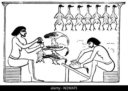 Storia dell'arte per principianti Vol 3 Architettura 004 Foto Stock