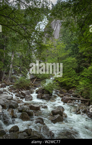 Cascate Shannon cade sulla ripida scogliera e poi cascate giù un torrente di seguito. Sea-to-Sky Highway vicino Sqaumish, BC Foto Stock