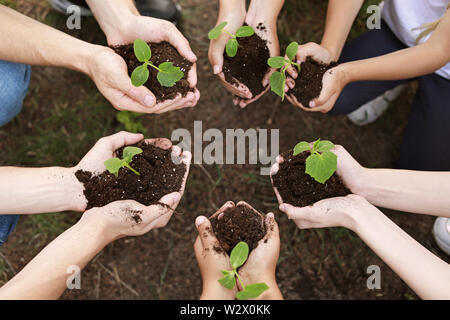 Volontari con i giovani piante all'aperto Foto Stock