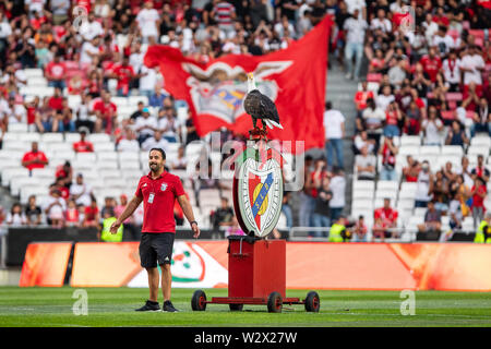 Lisbona, Portogallo. 10 Luglio, 2019. SL Benfica eagle Vitoria circa a volare prima dell' inizio della Pre-Season partita di calcio 2019/2020 tra SL Benfica vs Royal Sporting Club Anderlecht.(punteggio finale: SL Benfica 1 - 2 Royal Sporting Club Anderlecht) Credito: SOPA Immagini limitata/Alamy Live News Foto Stock