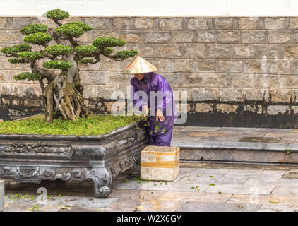 Tree care lavoratore lavora al parco in Vietnam. Donna asiatica il taglio di alberi di bonsai Foto Stock