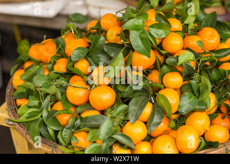 Bella tangerine sul mercato in Asia. Mature mandarini arance frutti sul ramo Foto Stock
