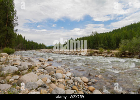 Stony banca di fiume. La rapida corrente. La montagna degli Altai. Foto Stock