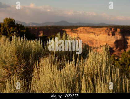 Scavi Archeologici al Canyon De Chelly National Monument, Navajo Nation, Arizona Foto Stock