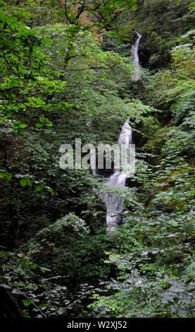 Forza Stockghyll cascata vicino a Ambleside nel Parco Nazionale del Distretto dei Laghi, Cumbria, Regno Unito. Foto Stock