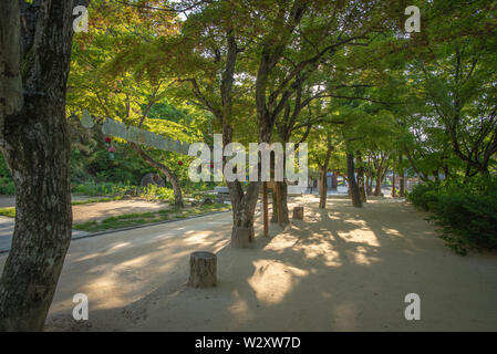 Le ombre degli alberi presi la mattina presto, Gimcheon, Corea del Sud Foto Stock