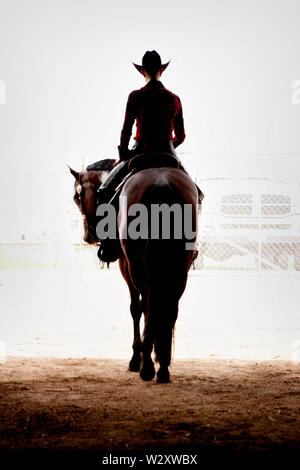 Gestore di cavallo a prepararsi per una mostra a stella del Texas Rodeo e Fiera di Austin Foto Stock