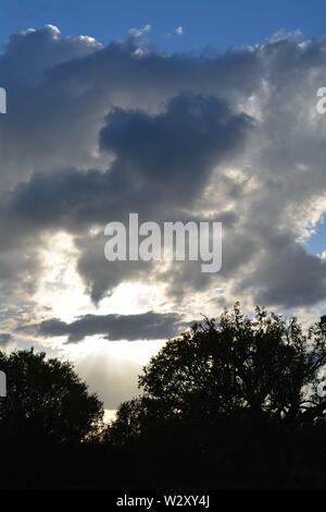Silhouette di alberi contro un cielo blu e una grande nuvola luminosa con il sole dietro, bagliore atmosferico. Foto Stock