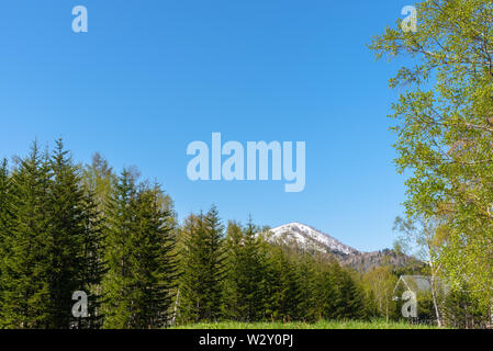 Fila di alberi in primo piano le montagne con vasto cielo blu su sfondo nella giornata di sole in estate. Natura e paesaggio bellissimo paesaggio visualizza Foto Stock