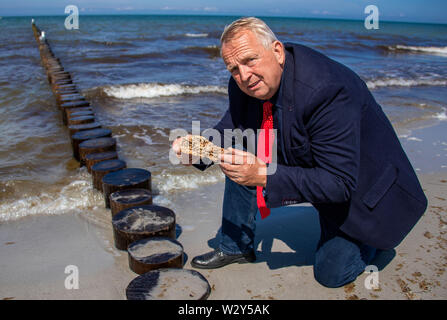 11 luglio 2019, Meclemburgo-Pomerania, Vitte: fino a Backhaus (SPD), il ministro dell' agricoltura di Mecklenburg-Vorpommern, mostra una parte vecchia di un groyne distrutta da una nave la cozza di fronte ad una nuova fila di alberi groyne sulla spiaggia del Mar Baltico isola di Hiddensee. Sulla costa fuori del villaggio di Vitte, un nuovo sistema groyne fu costruito per circa cinque milioni di euro per proteggere efficacemente i villaggi dalle forti mareggiate con un livello di piena fino a 2,60 metri. Foto: Jens Büttner/dpa-Zentralbild/dpa Foto Stock