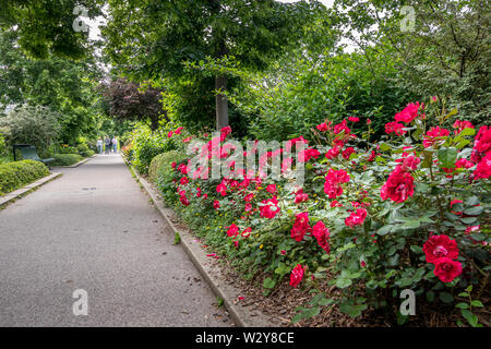 Parigi, Francia - 25 Maggio 2019: dettagli della Promenade Plantée Park, con la gente a piedi. Foto Stock
