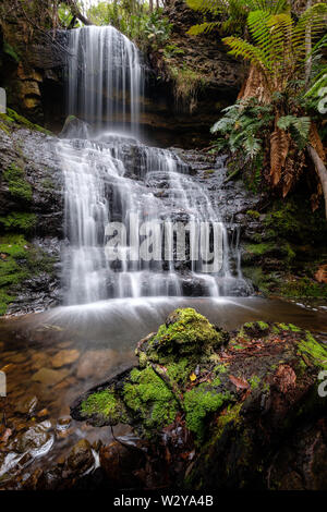 La cascata nel bosco della Tasmania, Tasman National Park, Australia Foto Stock