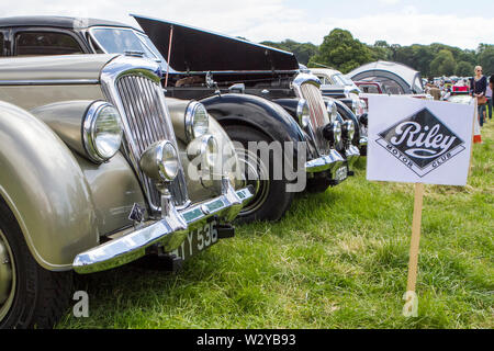 Riley autovetture; classic vintage restaurati i veicoli che appaiono alla Leighton Hall car festival a Carnforth, Lancaster, Regno Unito Foto Stock