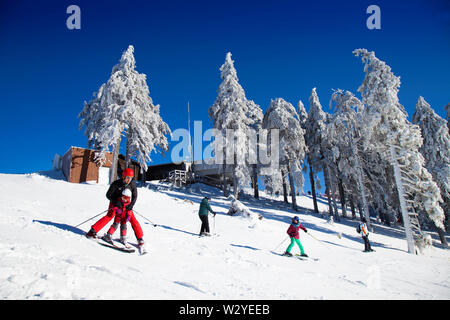 Sciatore sulla pista da sci, vetta del Monte Wurmberg, Bassa Sassonia, nazionale parkHarz, Braunlage, Germania Foto Stock