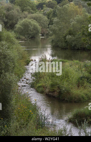 Scala di pesce, valle Jagst, vicino mulfingen-buchenbach, hohenlohe regione heilbronn-Franconia, BADEN-WUERTTEMBERG, Germania Foto Stock