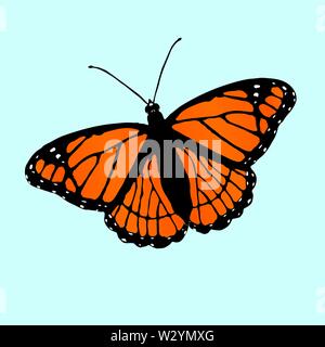 Una illustrazione vettoriale di un viceré butterfly leggermente inclinato su uno sfondo blu Illustrazione Vettoriale