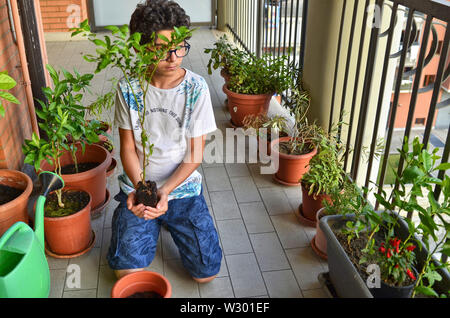 Un giovane ragazzo caucasico sta preparando alla pentola una pianta di mirtillo, tenendolo delicatamente per creare un vaso con le mani. La protezione e la cura. Foto Stock
