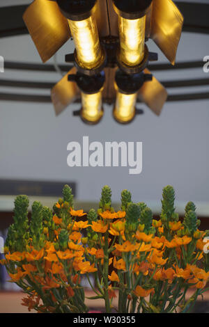 Dettaglio di illuminazione al di sopra di stile art deco al banco informazioni al piano terra, con fiori di colore arancione. Libreria Deichman Grunerlokka, Oslo, Norvegia. Architetto: Foto Stock