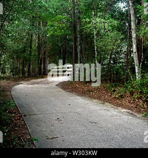 I boschi, TX USA - 05/24/2019 - sentiero a piedi nei boschi attraverso gli alberi 2 Foto Stock