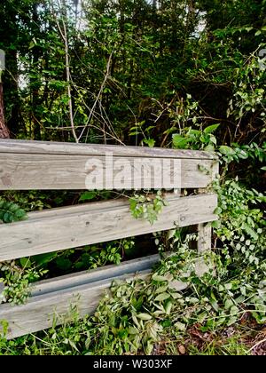 I boschi, TX USA - 05/24/2019 - In legno parapetti Foto Stock