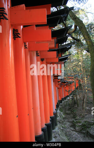 Templi giapponesi al momento della fioritura dei ciliegi - Hanami Foto Stock