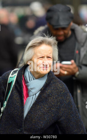 Jill Rutter - Direttore di programma, l'Istituto di Governo / ex alto funzionario - su College Green, Westminster, London Aprile 2019 Foto Stock