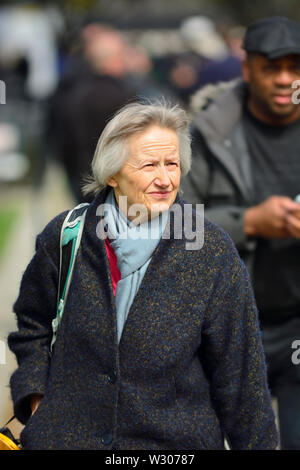 Jill Rutter - Direttore di programma, l'Istituto di Governo / ex alto funzionario - su College Green, Westminster, London Aprile 2019 Foto Stock