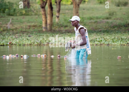 Lake Naivasha, Kenya - 19th February 2019: Local fisherman casts his nets in the shallow waters of Lake Naivasha, Kenya. Foto Stock