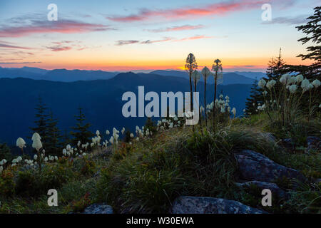 Bellissima vista di American paesaggio di montagna durante un vivace e colorato tramonto d'estate. Prese da sole Top Lookout, in Mt Rainier National Park, così Foto Stock