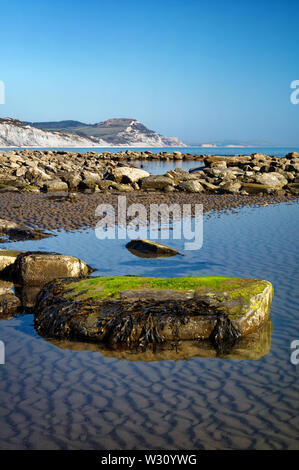 UK,Dorset,Lyme Bay a bassa marea guardando verso il Golden Cap Foto Stock