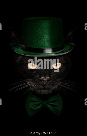 Muso scuro gatto nel cappello verde e la cravatta a farfalla per Foto Stock