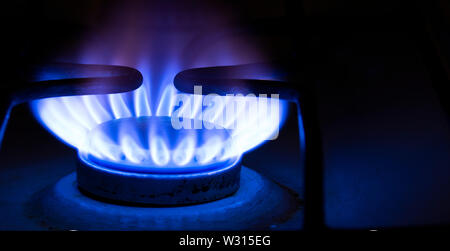 Bruciare gas blu sul fornello. Blue Flames di combustione di gas da cucina fornello a gas . Copia sapce . Closeup, il fuoco selettivo. Foto Stock