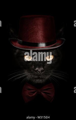 Muso scuro cat in Red Hat e cravatta a farfalla per Foto Stock
