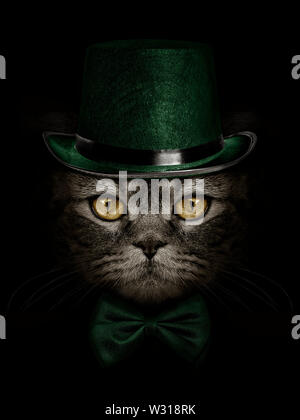 Muso scuro gatto nel cappello verde e la cravatta a farfalla per Foto Stock