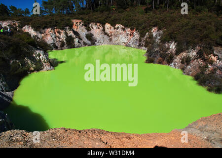 Paese di geyser, Rotorua, Nuova Zelanda Foto Stock