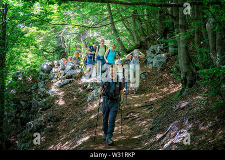 Subiaco RM, Italia - 07 Luglio 2019: gruppo di escursionisti sul sentiero di montagna, tra i boschi di faggio di Monte Livata. Foto Stock