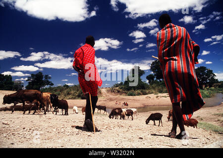 Masais sono forse il più famoso di tutte le tribù africane, che vivono nel sud-ovest del Kenya e della Tanzania nord-occidentale. Talek River, il Masai Mara, Kenya Foto Stock