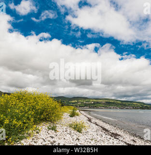 Spiaggia di Shingle accanto a Carnlough Bay sulla Coast Road vicino a Carnlough, County Antrim, Irlanda del Nord Foto Stock