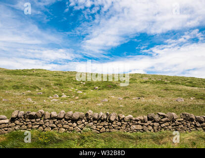 Un campo roccioso con abbondante cotone di torba o cottongrass (Eriophorum angustifolium) vicino Slieve Muck, Mourne Mountains, County Down, Irlanda del Nord Foto Stock