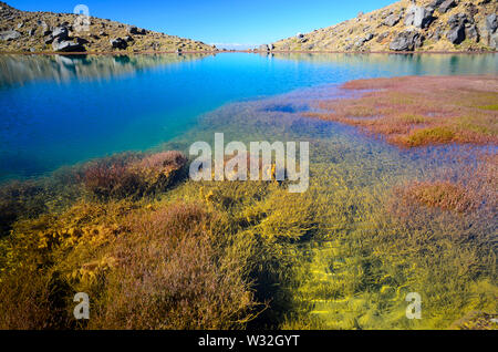 Vista sul Lago Smeraldo, Tongariro Crossing (Nuova Zelanda) Foto Stock