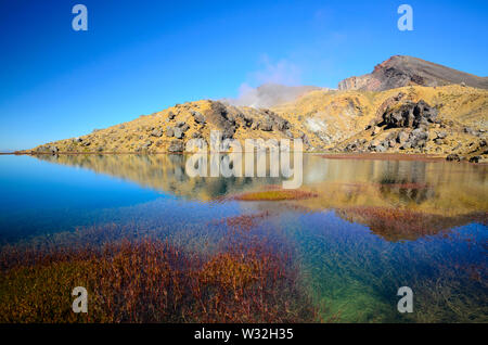 Vista sul Lago Smeraldo, Tongariro Crossing (Nuova Zelanda) Foto Stock