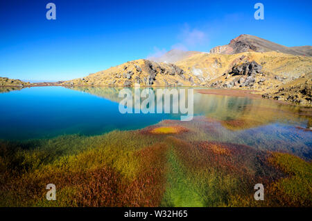 Vista sul Lago Smeraldo, Tongariro Crossing (Nuova Zelanda) Foto Stock